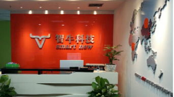 西安智牛网络科技 卓越的工程技术服务与创新发展