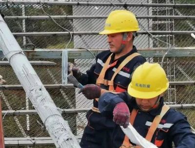 宝山区7家企业入选2023年度上海市科技小巨人（含培育）企业立项名单 工程技术服务领域再添生力军