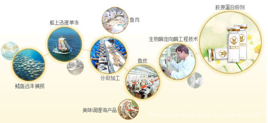 加盟东方海洋胶原蛋白，携手赵雅芝演绎青春美丽神话