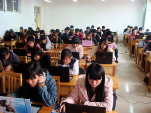 建筑装饰工程技术专业中的工程技术服务